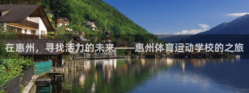 一竞技官方正版app五金厂:在惠州,寻找活力的未来——惠州体